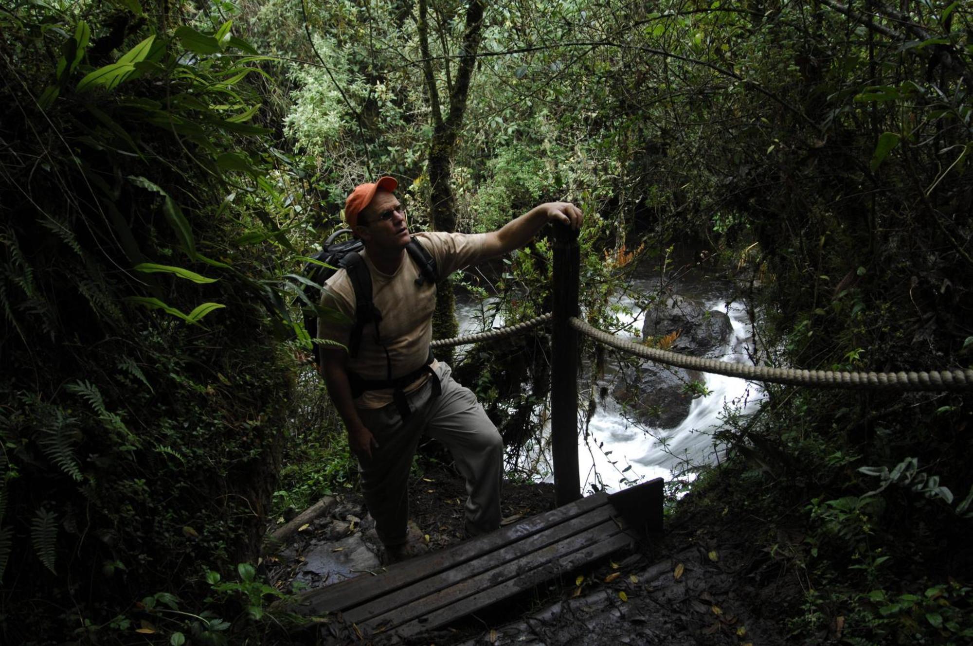 Termas De Papallacta Exterior foto A bridge in the rainforest