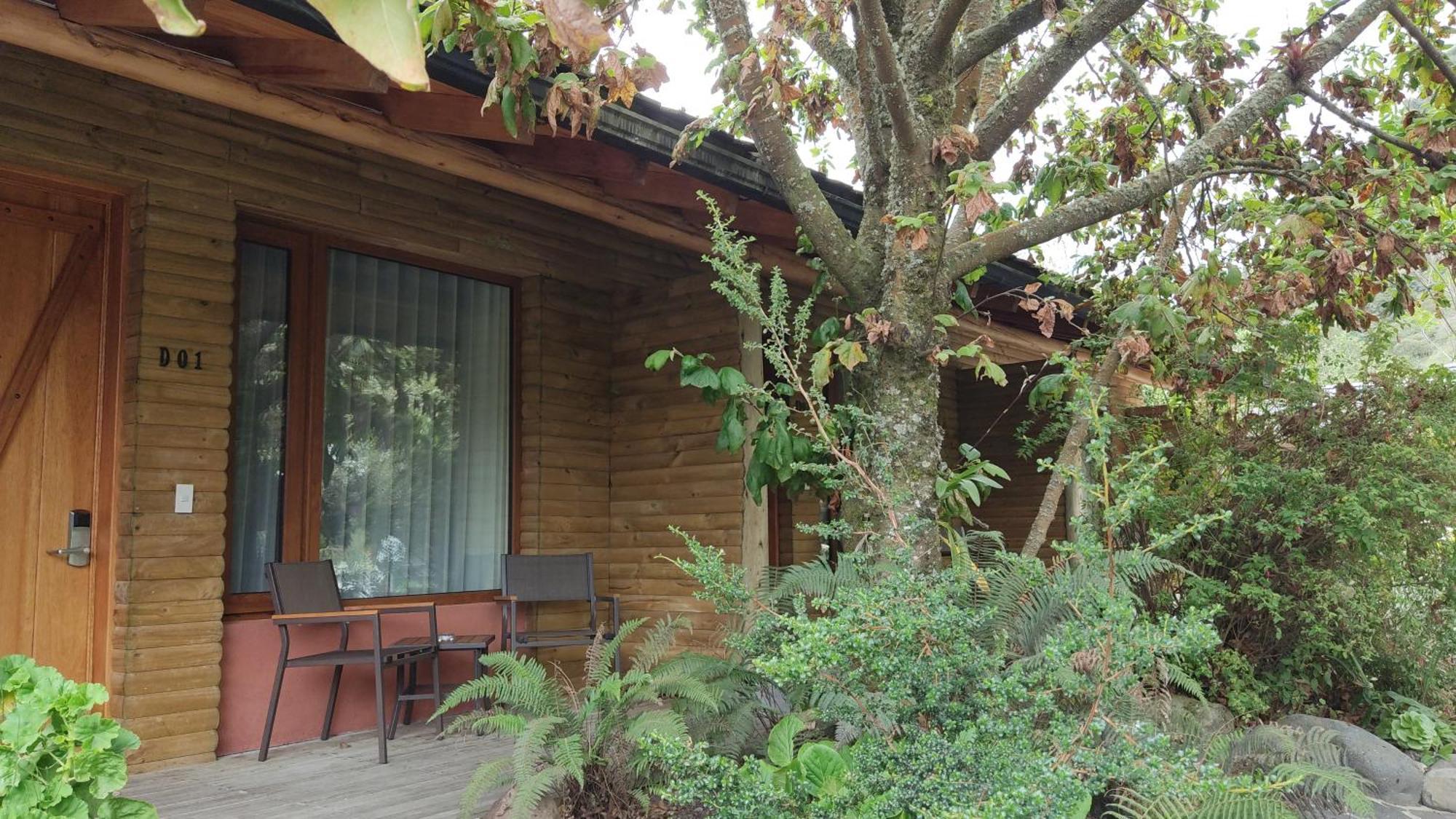 Termas De Papallacta Exterior foto A room at the hotel
